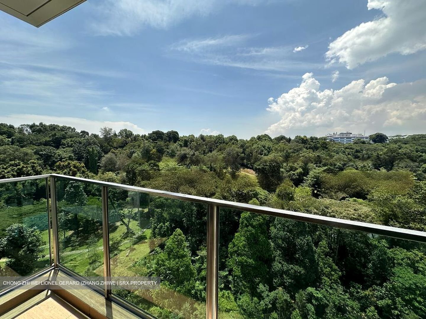 Normanton Park (D5), Apartment #457431021